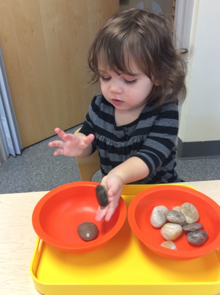 steppingstones transfer rocks